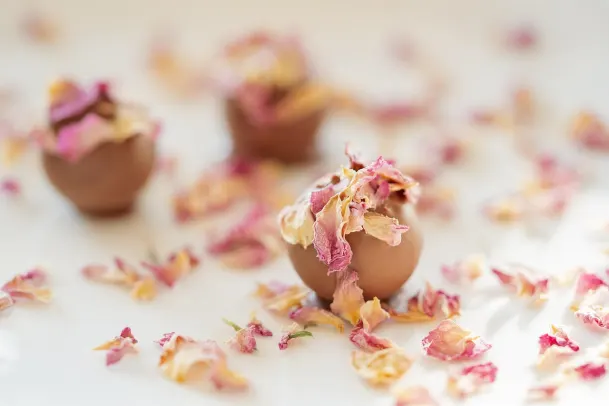 Casino Palm Slots Android/iOS Forrit